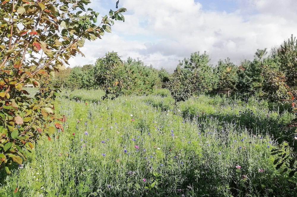 Photo of Outdoor in Acharacle
