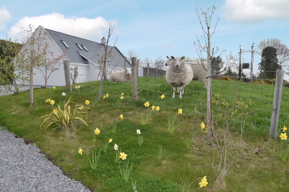 Photo of Outdoor in Fortrose