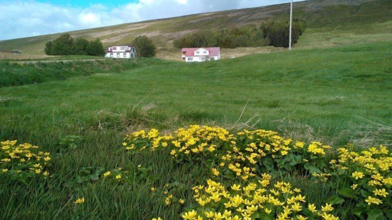 Photo of Outdoor in Adaldalur