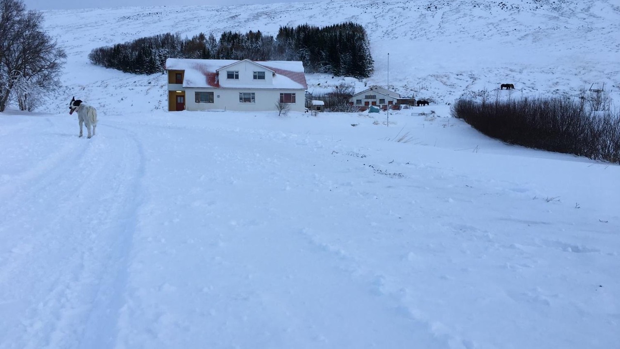 Photo of Others in Adaldalur