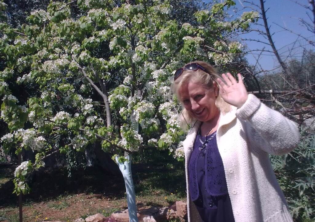 Photo of Outdoor in Skala Kallirachis
