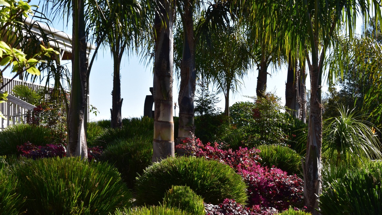 Photo of Outdoor in Coromandel