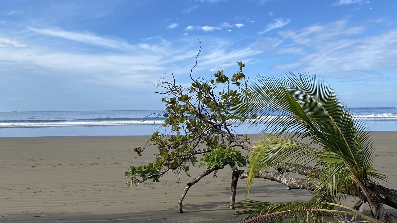 Photo of Others in Uvita