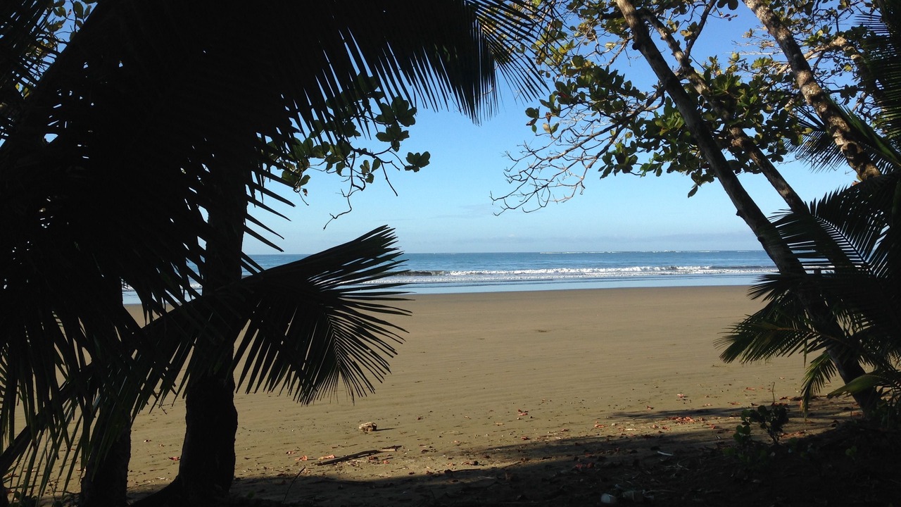 Photo of Others in Uvita