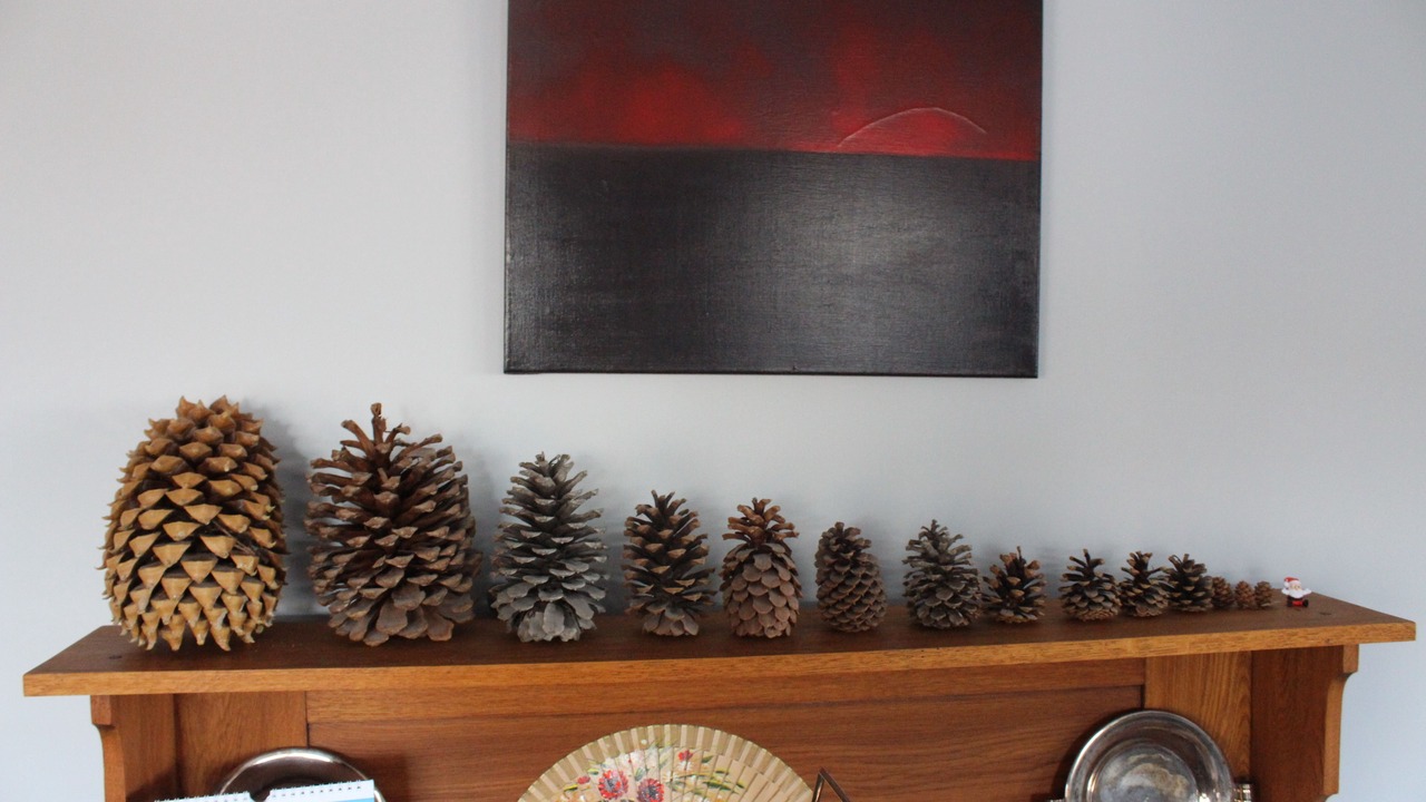 Photo of Others in Lake Tekapo