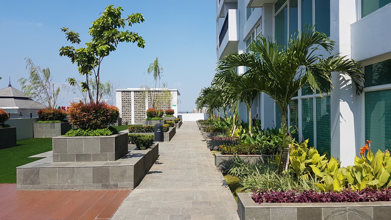 Photo of Outdoor in Cikokol