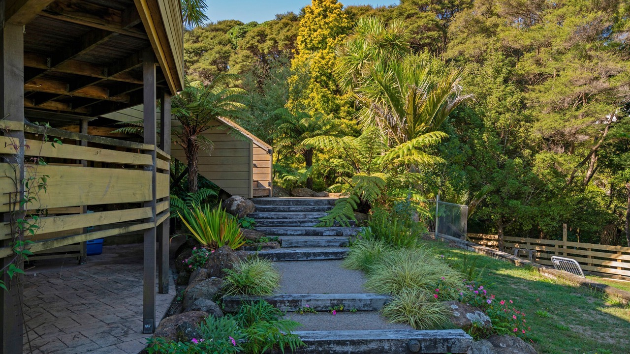 Photo of Outdoor in Whitianga
