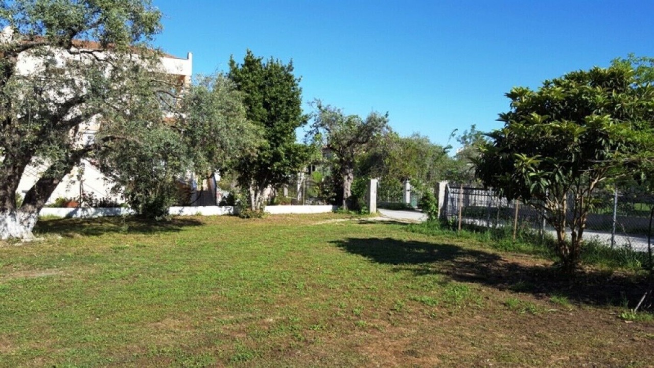 Photo of Outdoor in Golden Beach