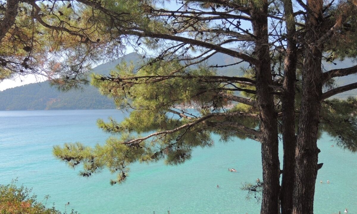 Photo of Outdoor in Golden Beach