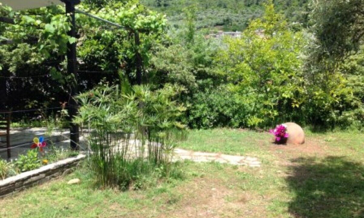 Photo of Outdoor in Golden Beach