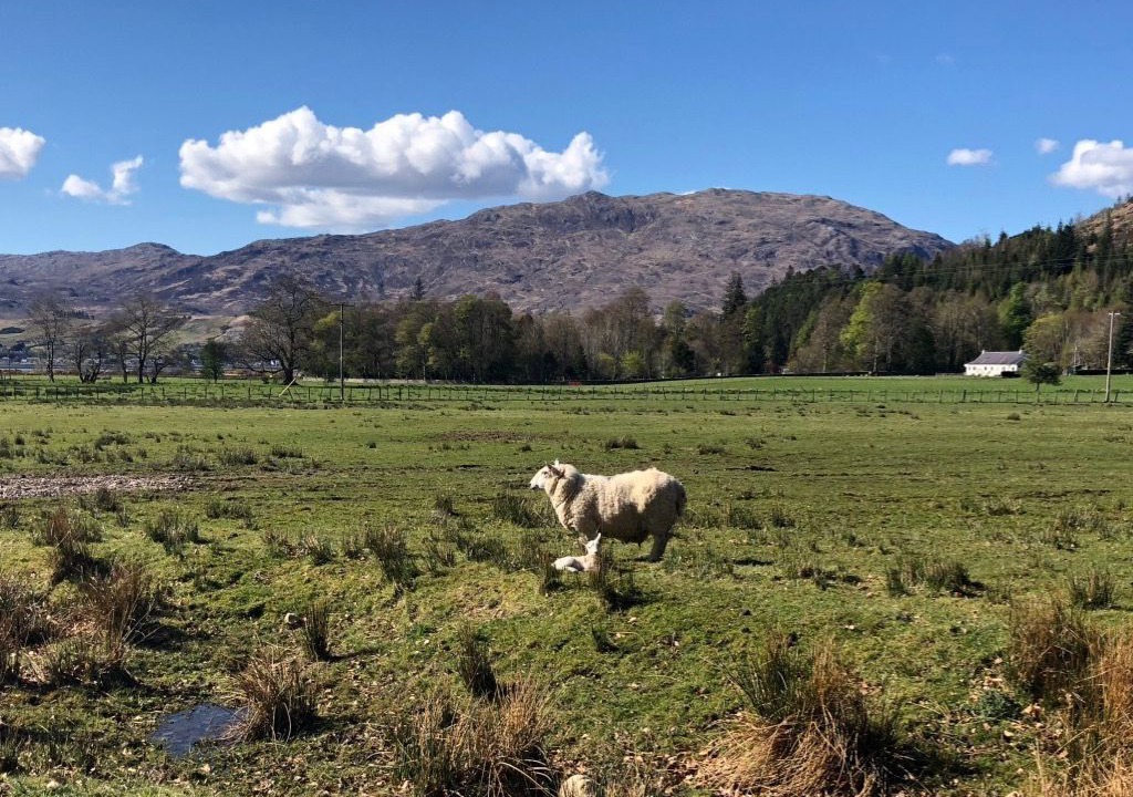 Photo of Outdoor in Strathcarron