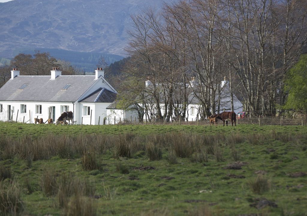 Photo of Outdoor in Strathcarron