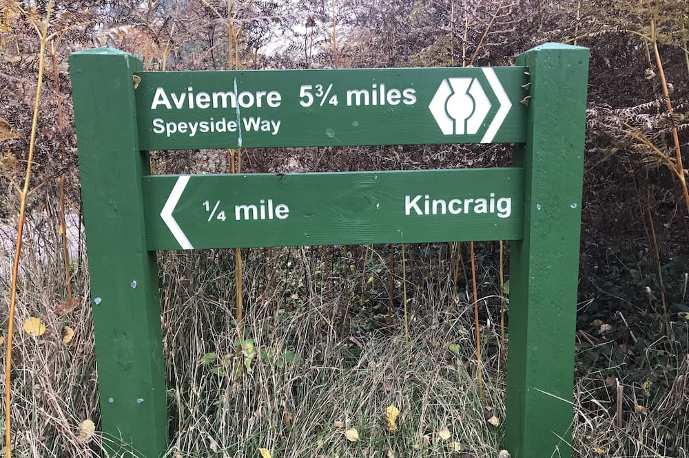 Photo of Others in Kincraig