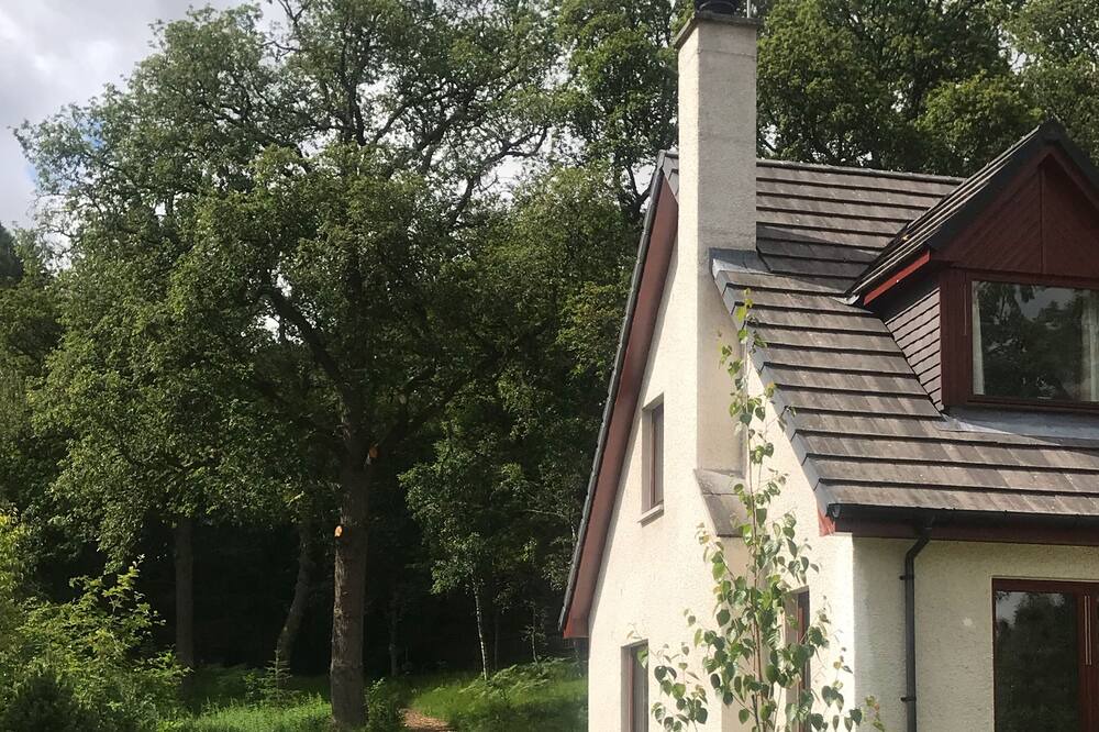 Photo of Outdoor in Kincraig