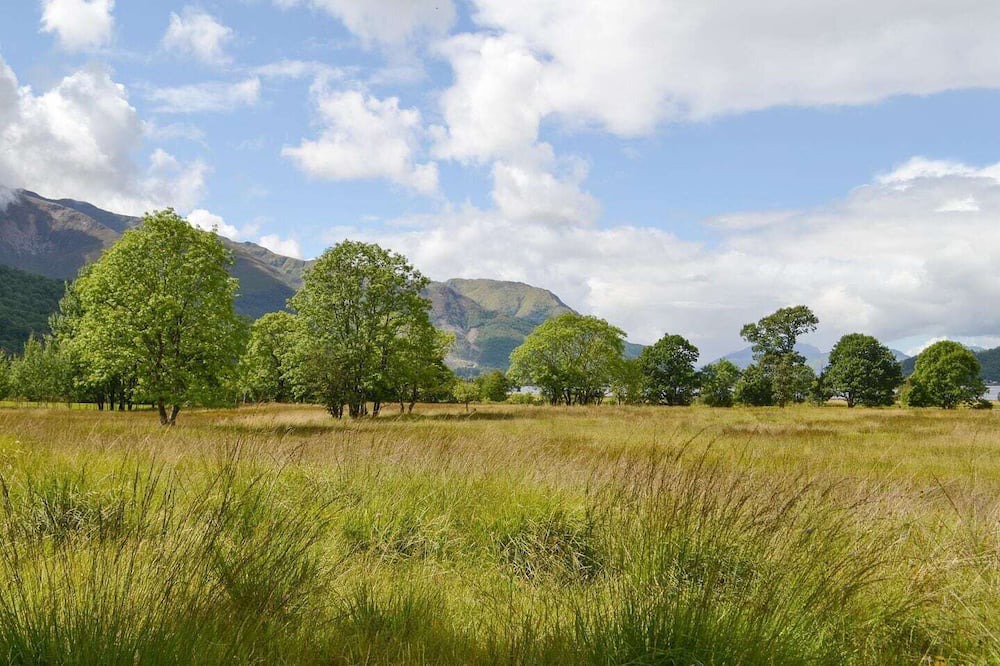 Photo of Others in Glencoe