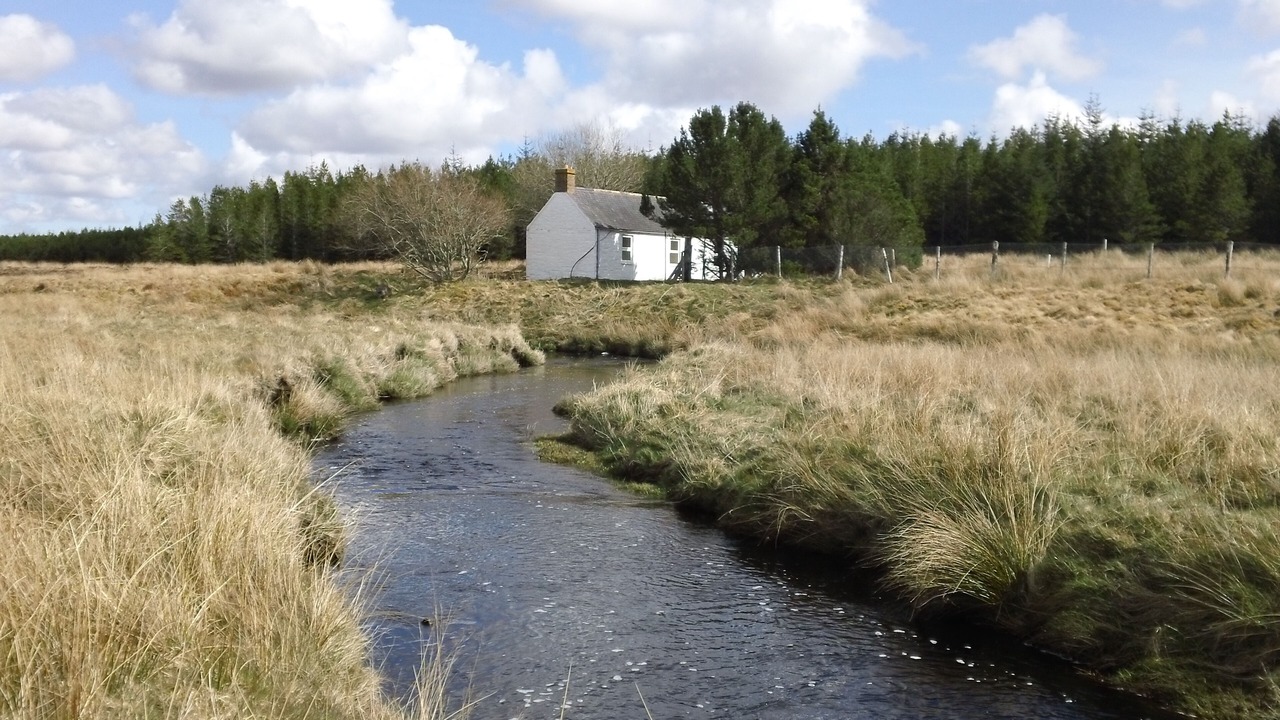 Photo of Others in Halkirk