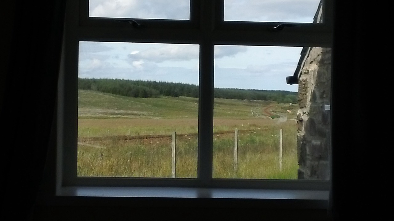 Photo of Others in Halkirk