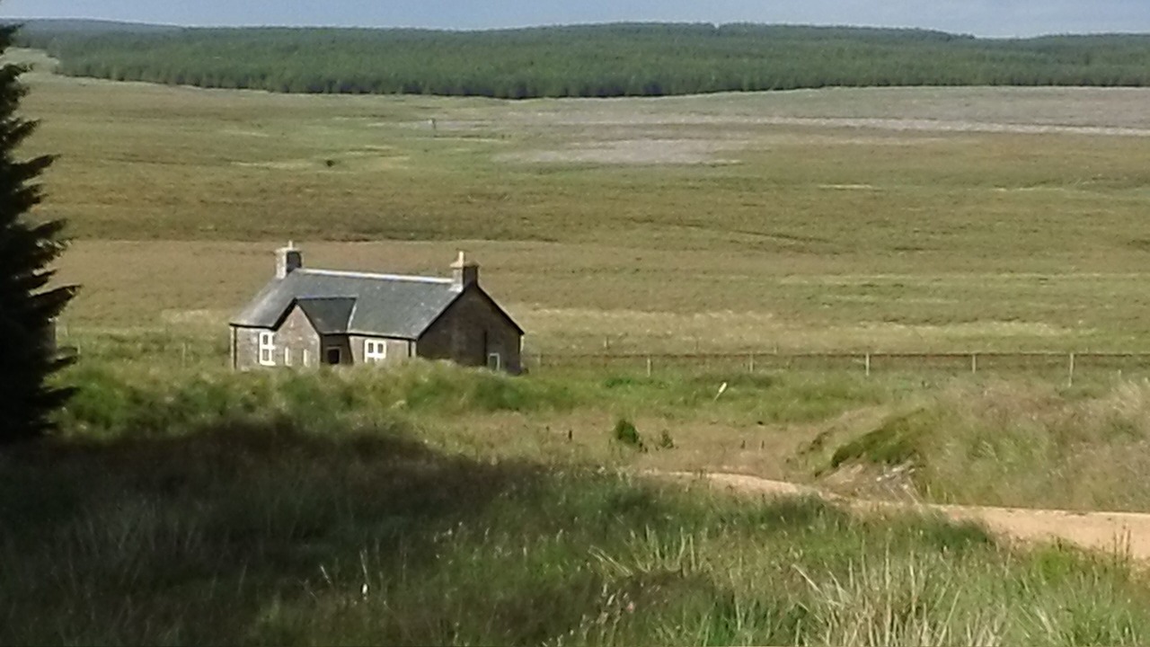 Photo of Others in Halkirk