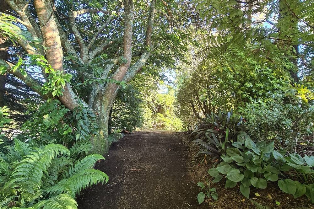 Photo of Outdoor in Hamurana