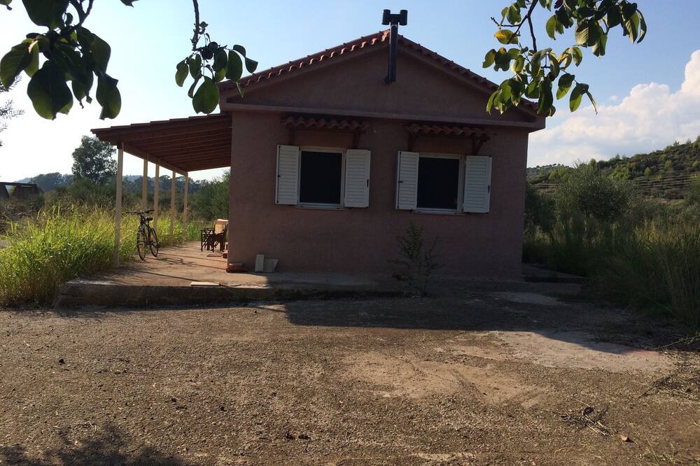 Photo of Outdoor in Archea Pissa