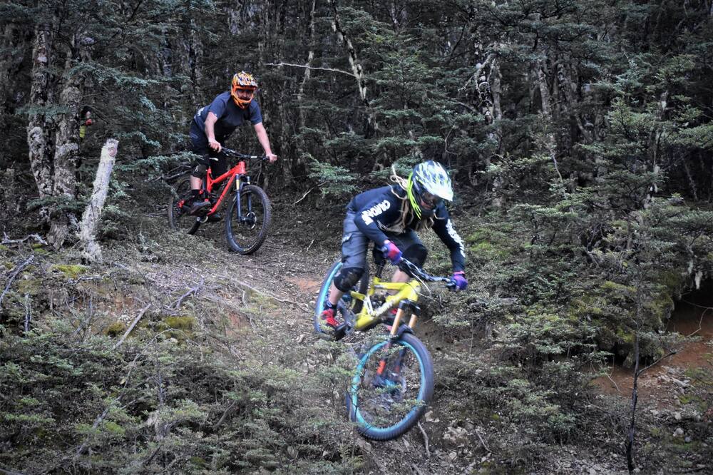 Photo of Others in Craigieburn Forest Park