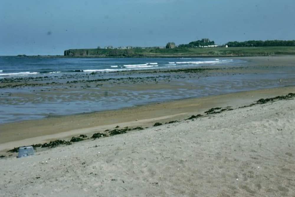 Photo of Others in Dunbar