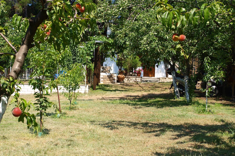 Photo of Outdoor in Megalos Prinos