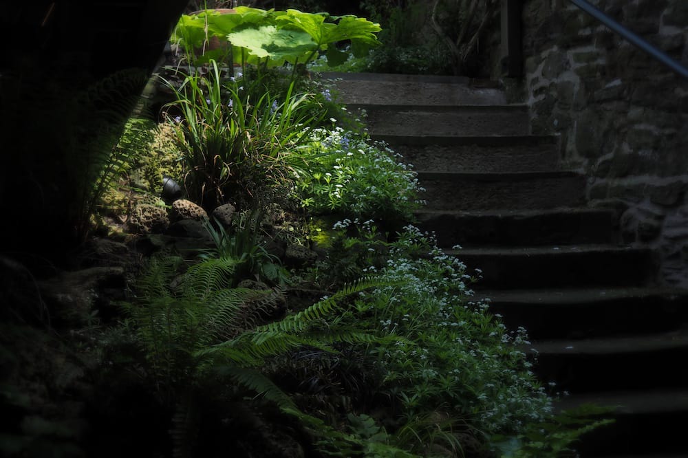 Photo of Outdoor in Dunbar