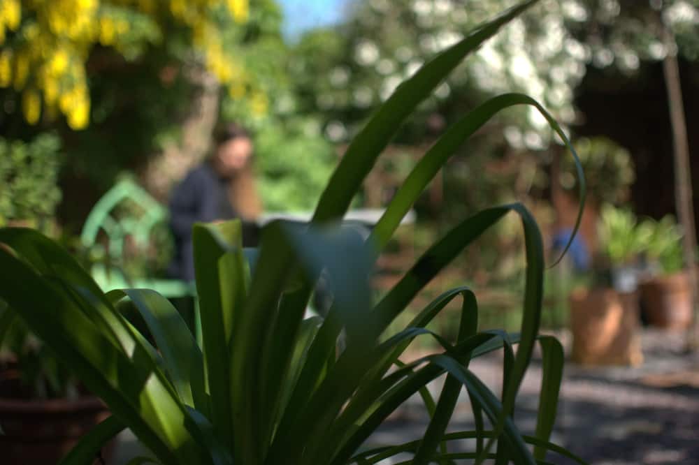 Photo of Outdoor in Dunbar