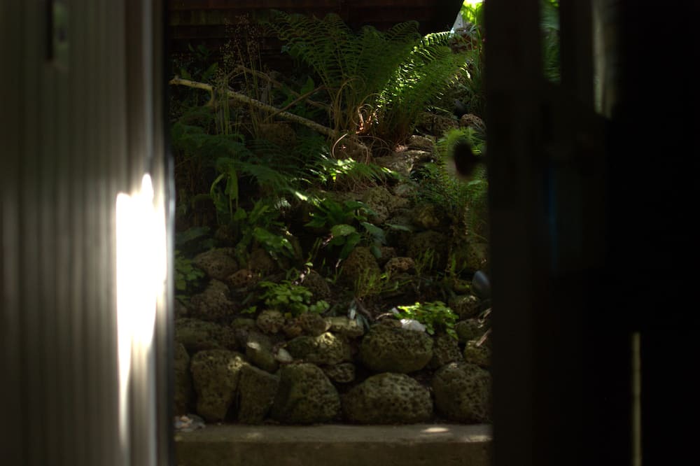 Photo of Outdoor in Dunbar