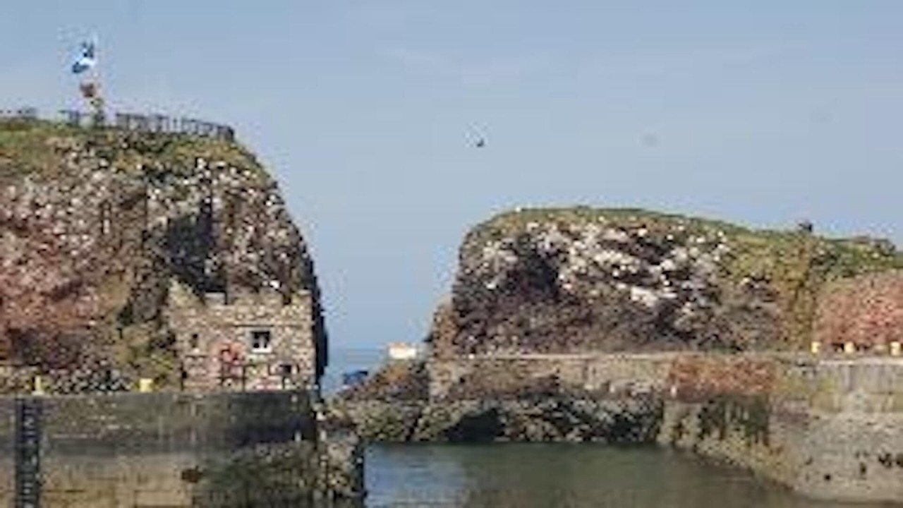 Photo of Others in Dunbar