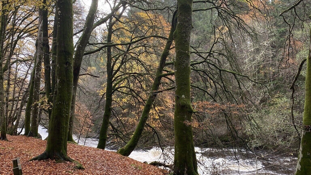 Photo of Outdoor in Blair Atholl