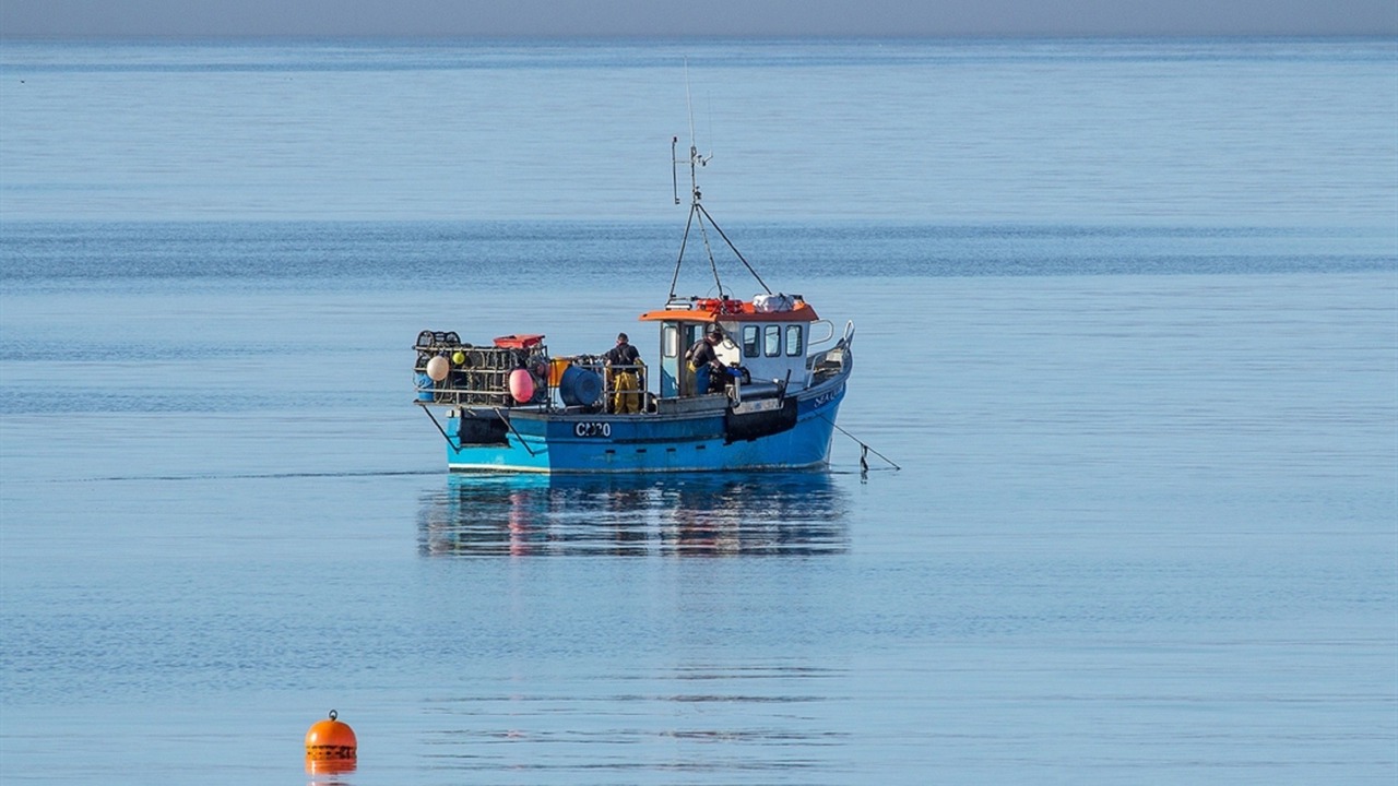 Photo of Others in Port Charlotte