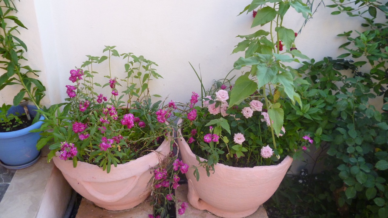 Photo of Outdoor in Faraklata