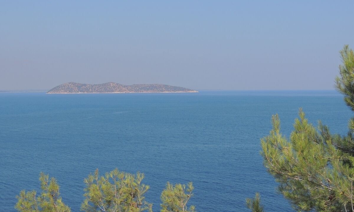 Photo of Others in Golden Beach