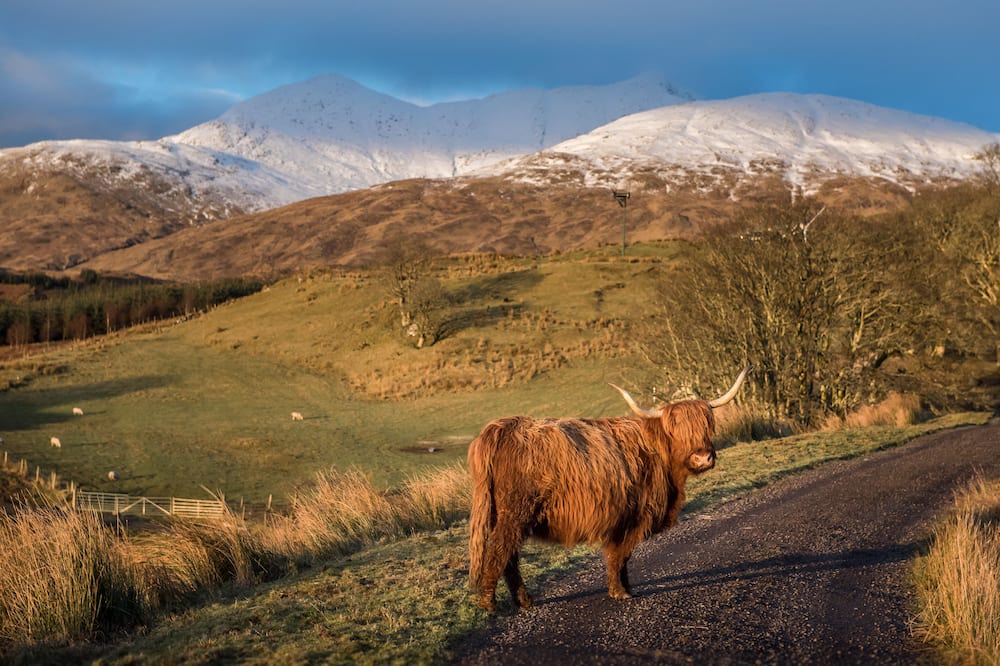 Photo of Others in Taynuilt