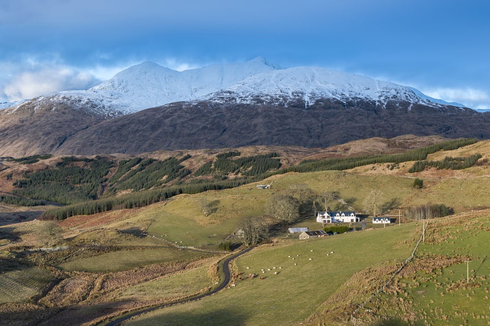 Photo of Others in Taynuilt