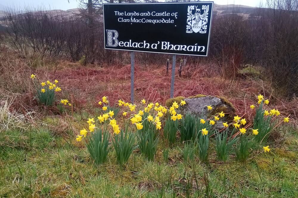 Photo of Outdoor in Taynuilt