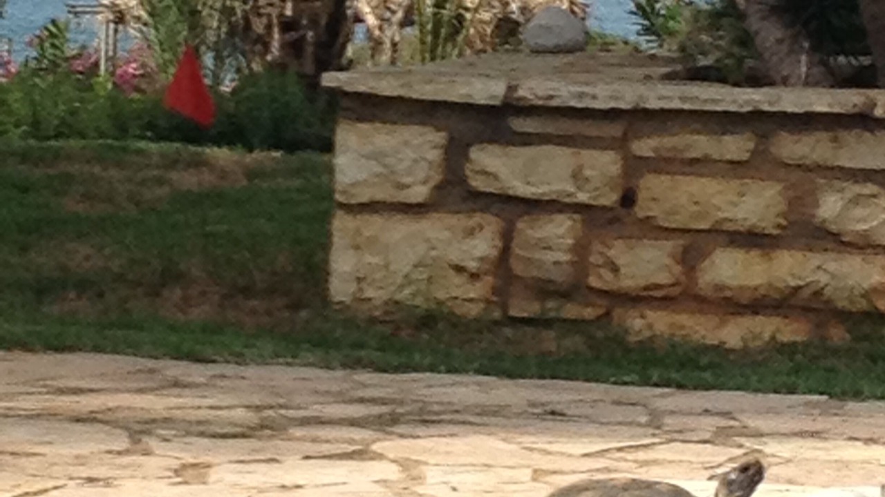 Photo of Outdoor in Trifylia
