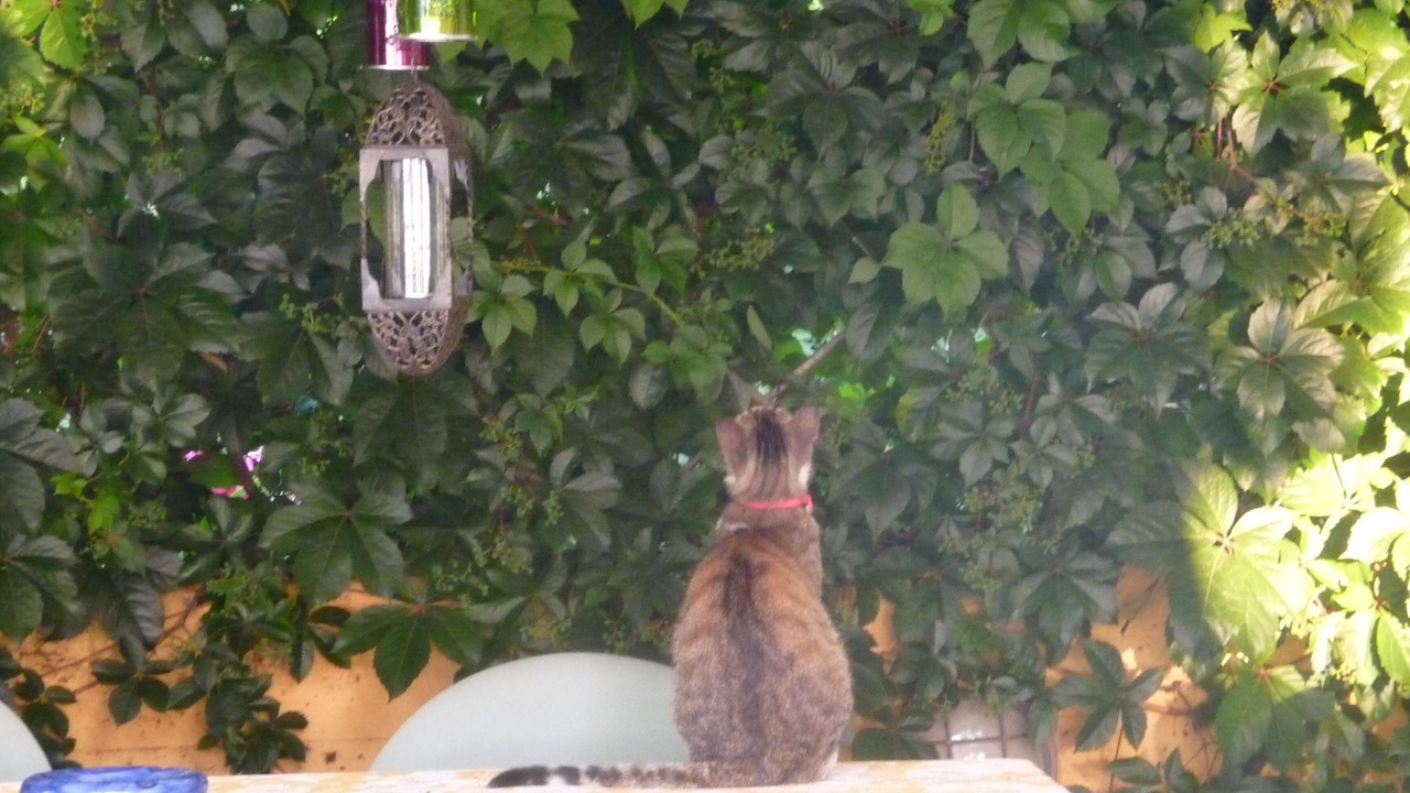 Photo of Outdoor in Trifylia