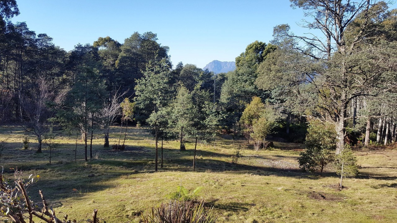 Photo of Outdoor in Moina
