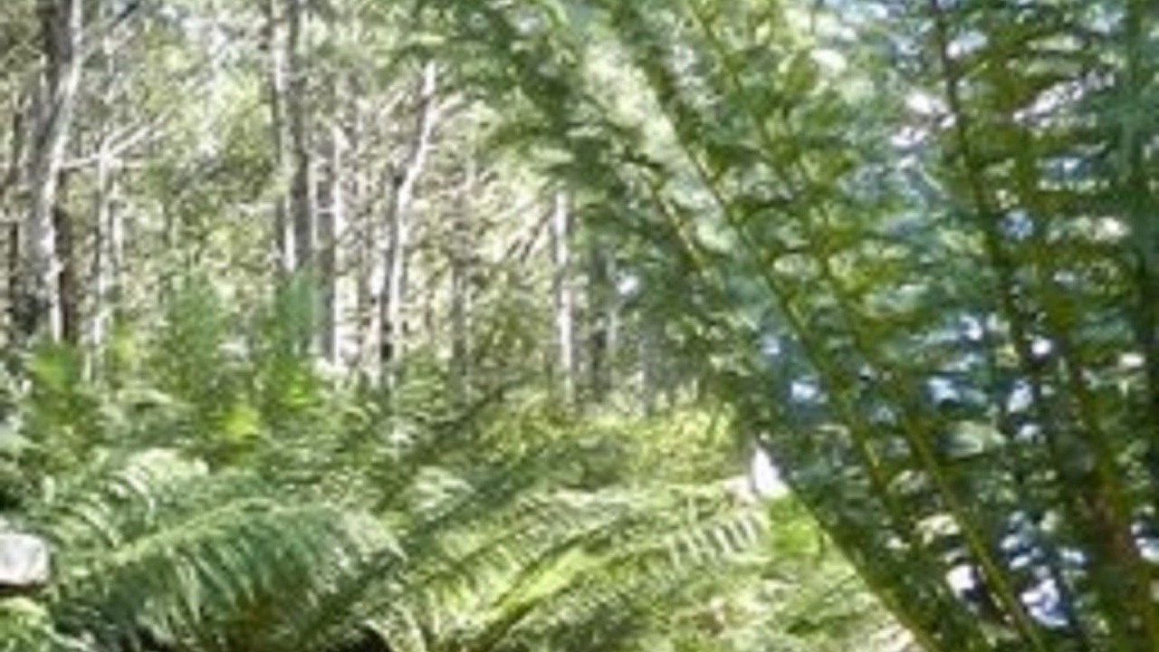 Photo of Outdoor in Moina
