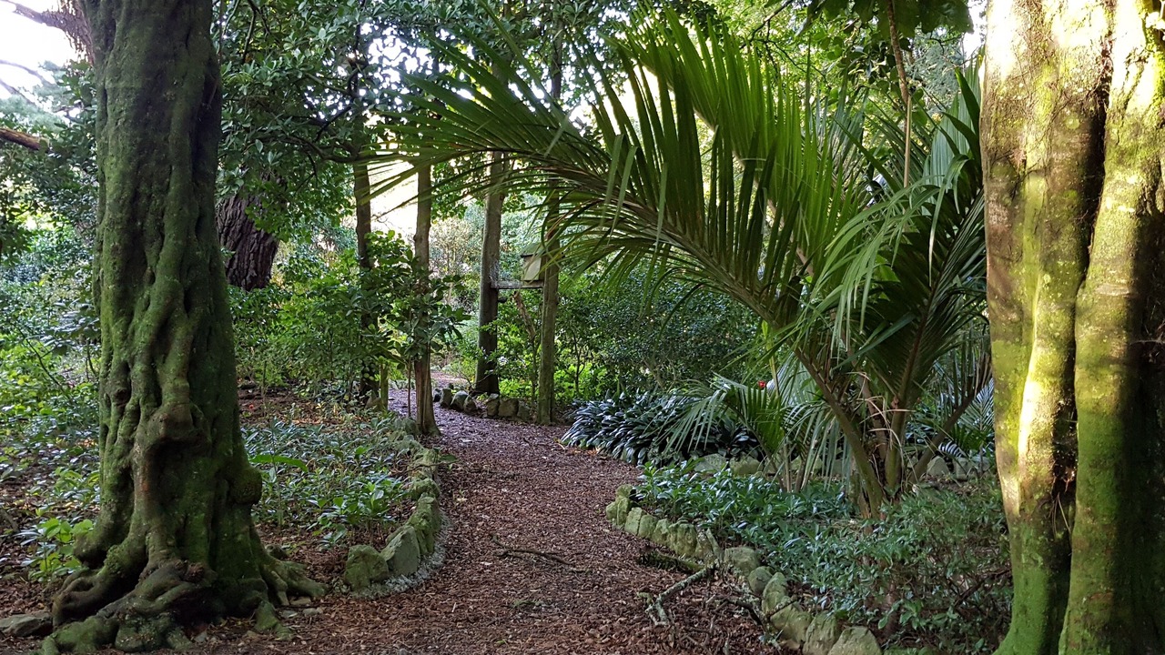 Photo of Outdoor in Western Lake
