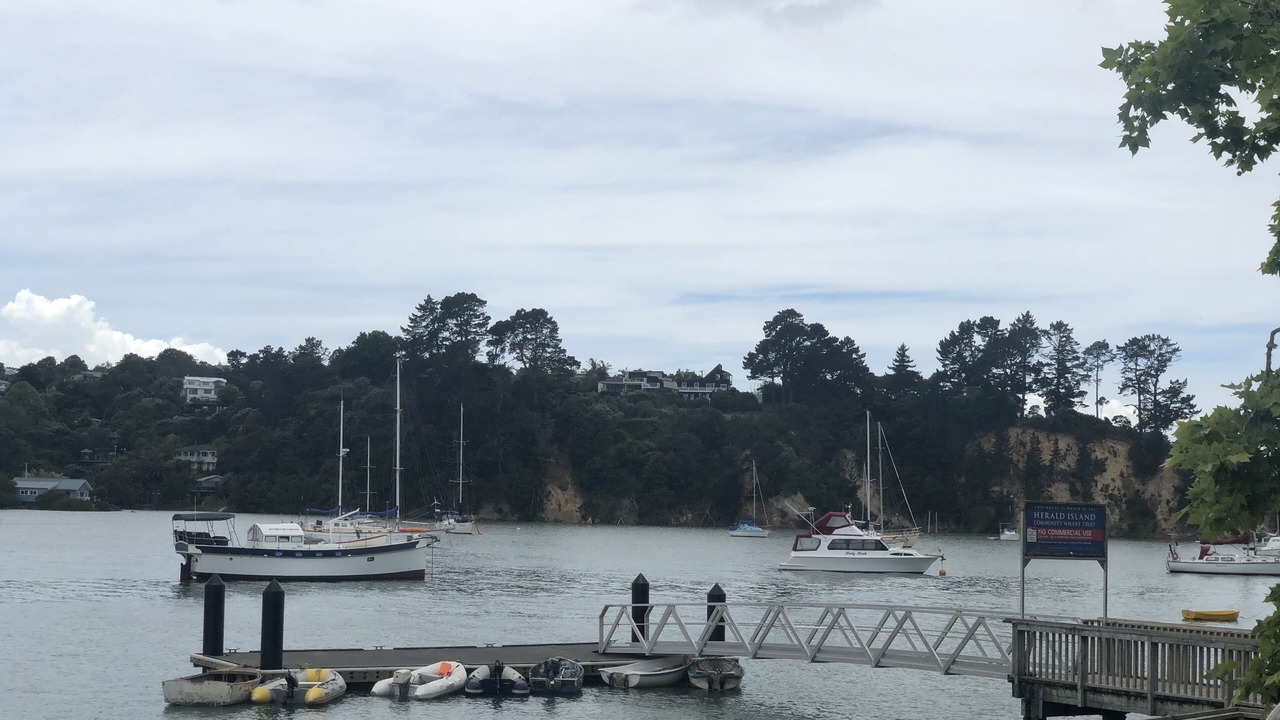 Photo of Others in Auckland