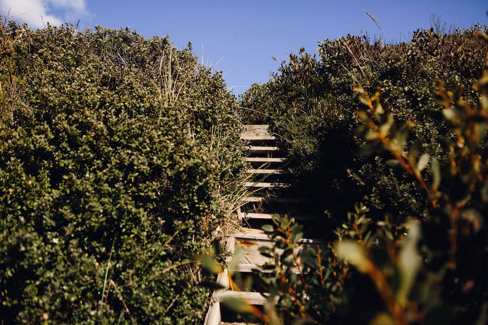 Photo of Outdoor in Turners Beach