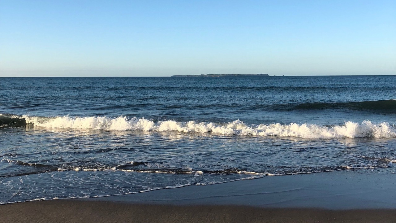Photo of Others in Papamoa Beach