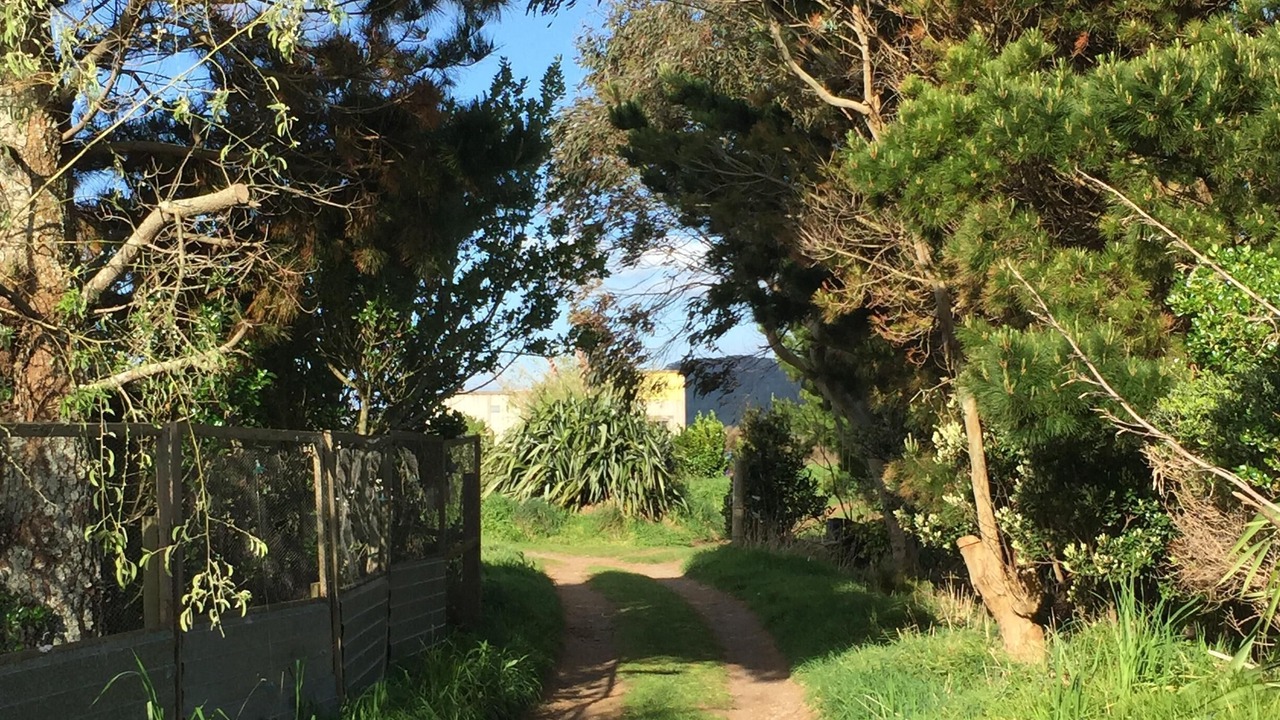 Photo of Outdoor in Tataraimaka