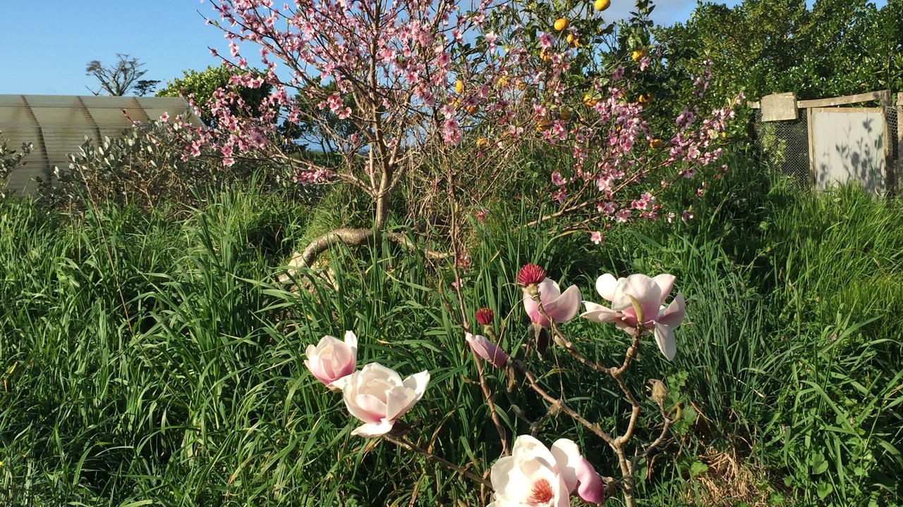Photo of Outdoor in Tataraimaka