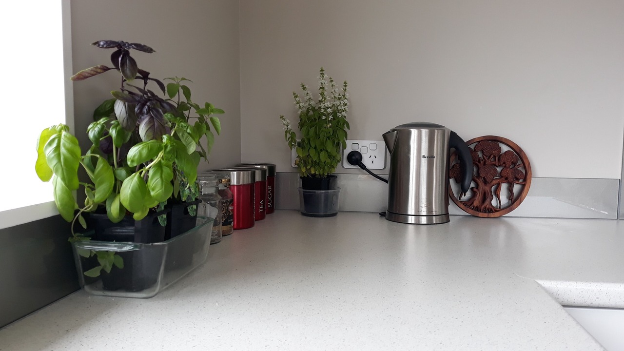 Photo of Kitchen in Beachlands