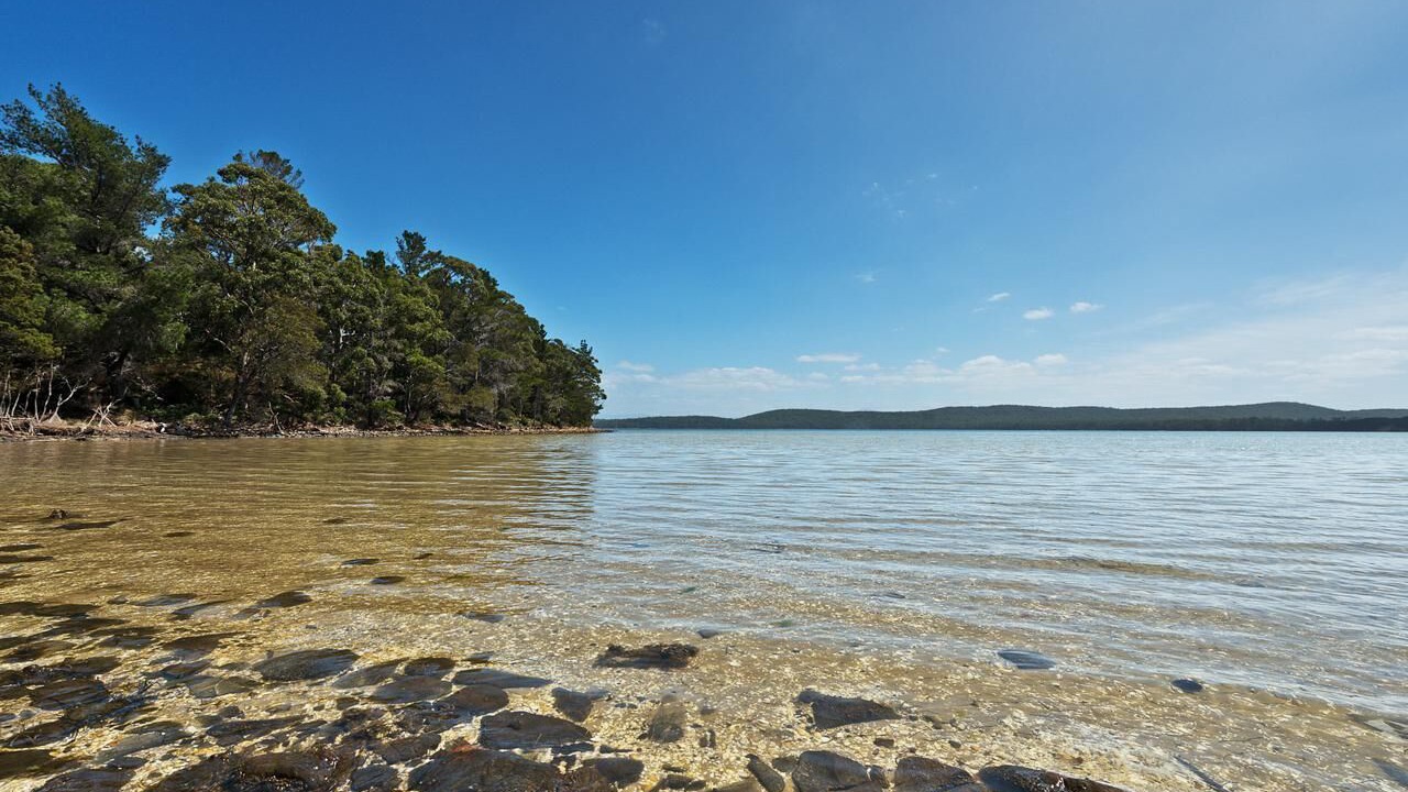 Photo of Others in South Bruny